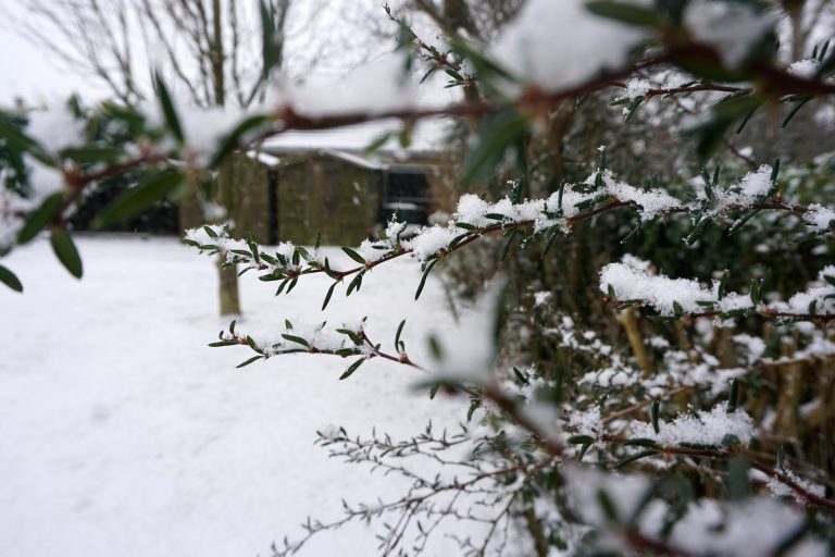 Ain’t Snow Brilliant?!